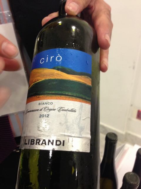 Experiencia_Verema_Madrid_2013_Negrini